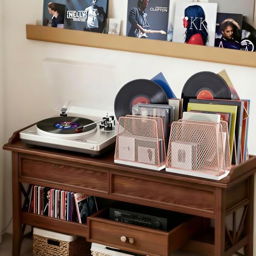 LEKETREE Rose Gold Desk File Organizer, 5-Section Upright File Sorter, Vertical File Folder Holder, Mesh Metal Wood Office Desktop Organization for Document, Magazine, Books and more (Rose Gold)