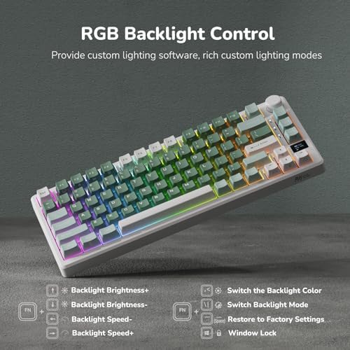 RK ROYAL KLUDGE M75 Wireless Mechanical Keyboard with OLED Display & Knob