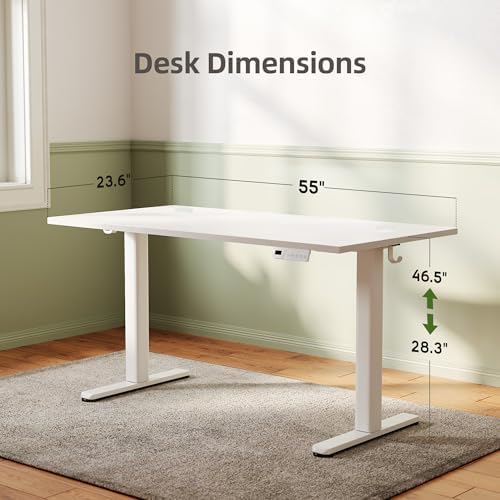 INNOVAR Electric Height Adjustable Standing Desk, 55x24 Inch, White
