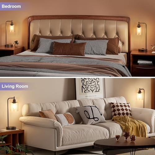 Innqoo Industrial Touch Table Lamps - 3-Way Dimmable Desk Lamps Set of 2 with USB C+A Ports and Outlet, Brown Bedside Lamps with Clear Glass Shade for Living & Bedrooms