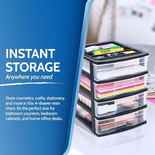 Gracious Living 4-Drawer Desktop/Countertop Storage Organizer, Black/Clear