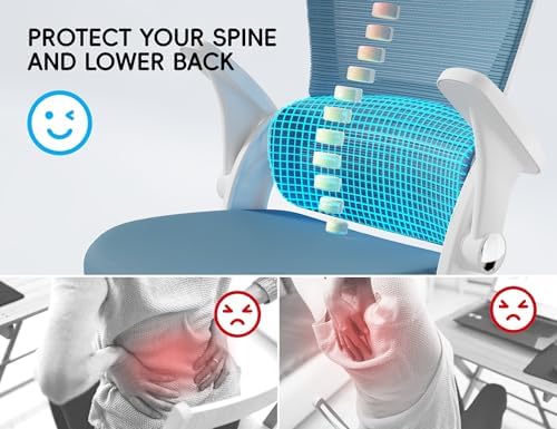TRALT Office Chair - Ergonomic Office Chair with Back Support for Adults