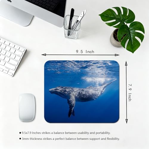 9.5x7.9 Inch Office/Gaming Mouse Pad, Deep Blue Sea Whale Majestic Underwater Marine Organism, Cute Anti-Slip Mat for Desk Decor