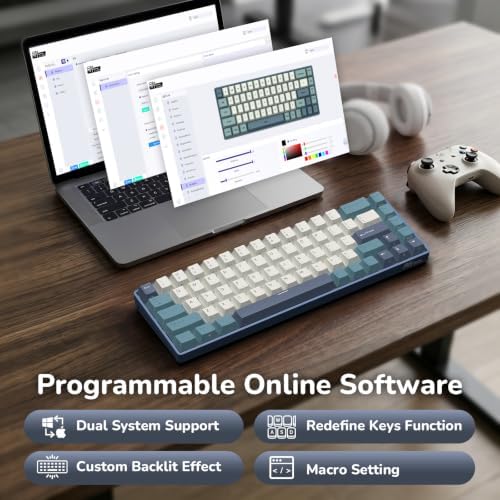 RK ROYAL KLUDGE RK68 65% RGB Wireless Mechanical Keyboard for Gaming, Work