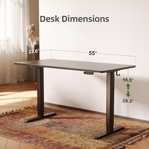 INNOVAR Electric Height Adjustable Standing Desk, 55x24 Inch, Black