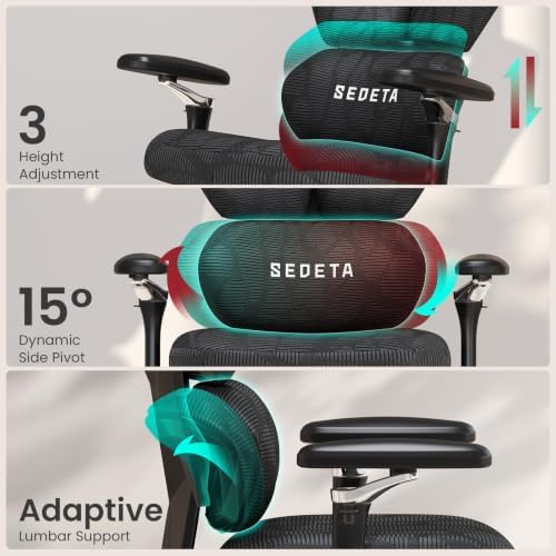 SEDETA S100 Ergonomic Office Chair with Lumbar Support, 6D Armrests, Black