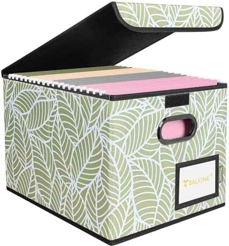 BALEINE File Organizer Box with Lid, Collapsible Hanging File Storage Box