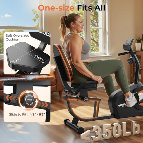 YOSUDA Recumbent Exercise Bike for Home，Magnetic Staionary Bike for Seniors