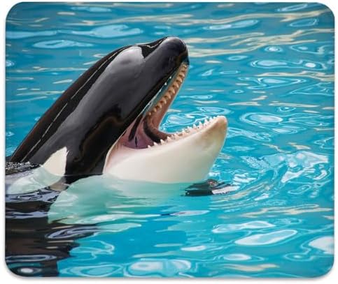 Orca Killer Whale Mouse Pad, Bright Blue Ocean Water Cute Desk Mat