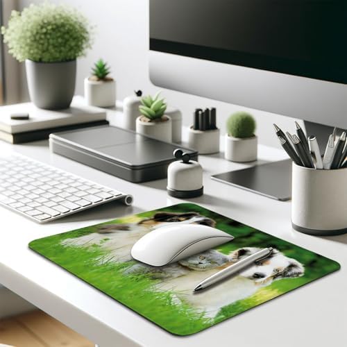 Cute Australian Shepherd Dog Puppies Mouse Pad, Scottish Fold Cat Desk Mat