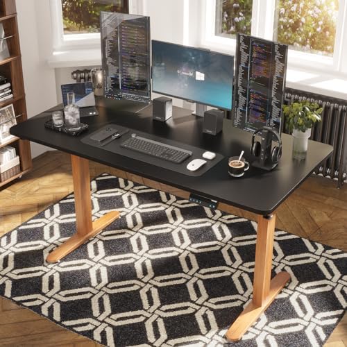 Monomi Electric Standing Desk 55”x24”, Height Adjustable Desk with Wheels