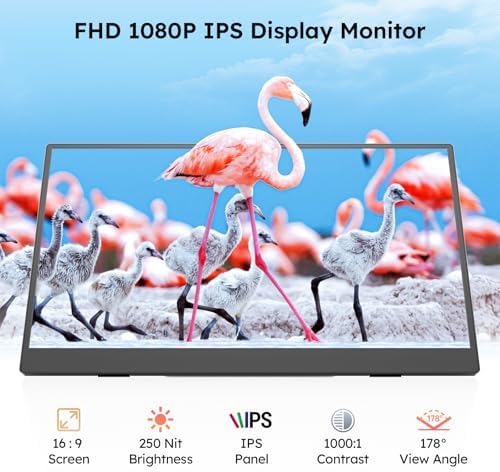 Dopesplay Portable Monitor, 15.6" FHD 1080P IPS Travel Monitor for Laptop, Foldable Magnetic Stand & Carry Case Included, USB-C Screen Extender for Laptop Mac PC Phone Xbox PS4/5 Switch