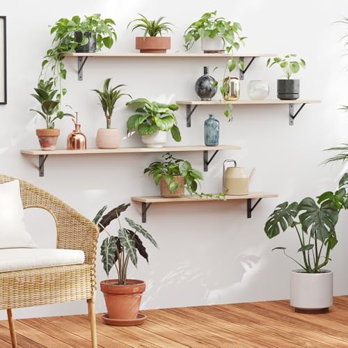 DINZI LVJ Long Wall Shelves, 55.1Inch Wooden Floating Shelves with Brackets
