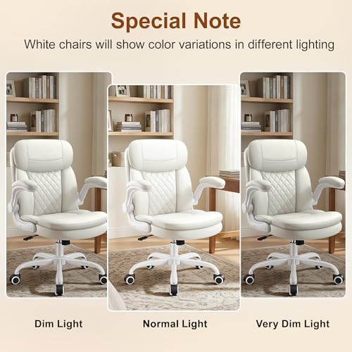 Office Desk Chair, Ergonomic Computer Chair with Unique Dual-Layer Support