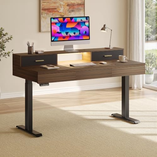 60" Standing Desk with 5 Drawers, Electric Adjustable Home Office Desk