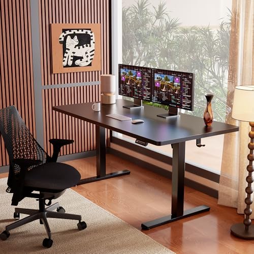ErGear 55 x 28 Inches Height Adjustable Electric Standing Desk, Sit Stand up Desk, Memory Computer Home Office Desk, Black