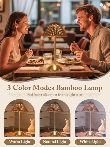 Boho Rattan Table Lamp,Wicker Night Light,LED Rechargeable Reading Lights,3 Color Touch Control Dimmable Bedside Lamps Living Room Bedroom Office Lighting Home Outdoor Decoration