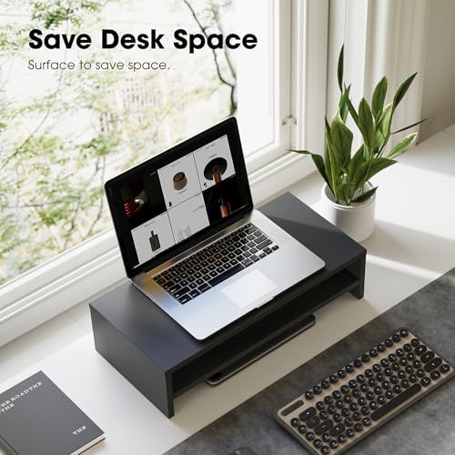 FITUEYES Wooden Monitor Stand Riser, 2-Tier Desk Storage Shelf, Black