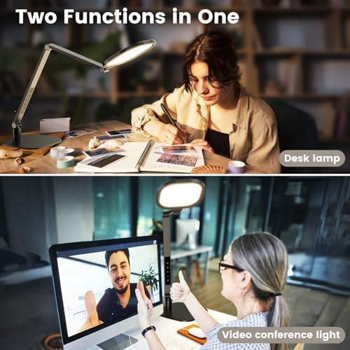 LitONES 2 Packs Desk Lamp for Home Office Zoom Video Calls-Black