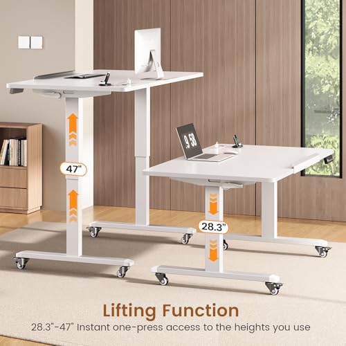 SEDETA 47 x 24 Inches Electric Standing Desk, 180° Tiltable Mobile Rising