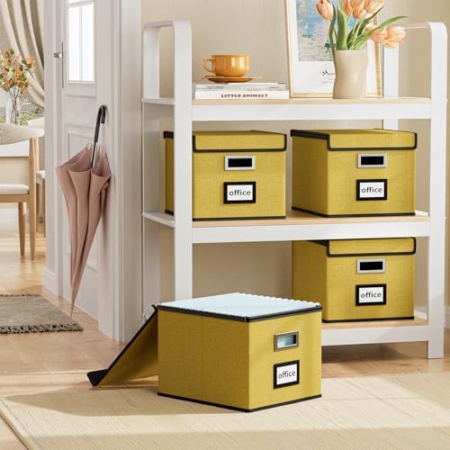 File Organizer Box with Lids, Collapsible File Folder Organizer