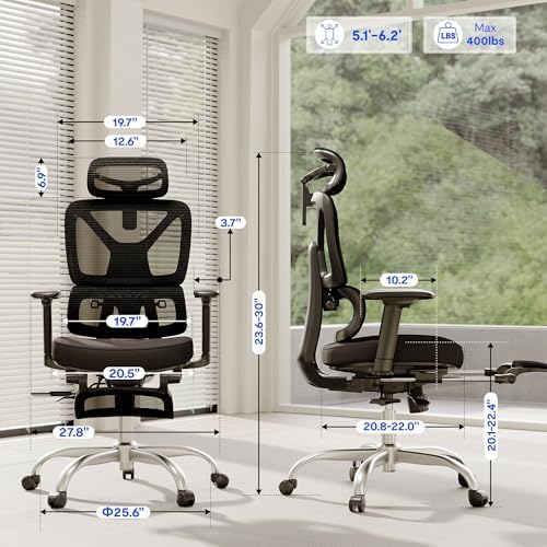 FLEXISPOT ErgoX Premium Ergonomic Office Chair Black FM-FT