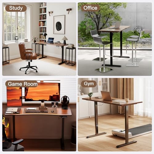 Solid Wood Electric Standing Desk, 55"x23.6" Walnut Standing Desk
