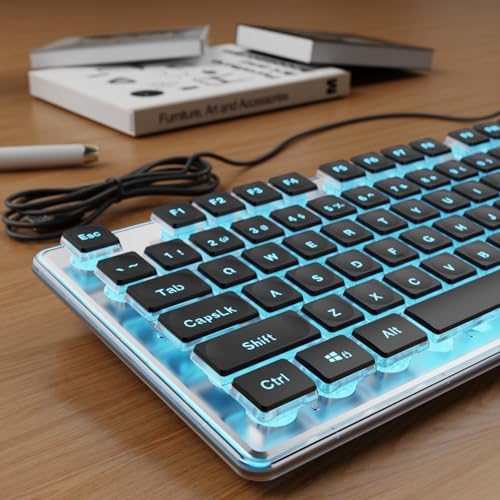 Wired Keyboard with Blue Backlight Pudding Keycaps, Full Size, Black
