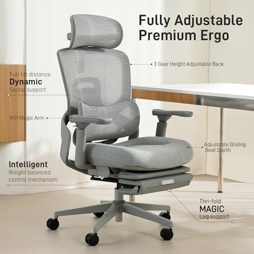 FLOW360 Ergonomic Mesh Office Chair with Footrest, Big&Tall Chair Gray FM