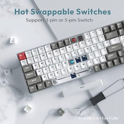 RK ROYAL KLUDGE RK100 Wireless Mechanical Keyboard RGB Backlit Bluetooth5.1/2.4G/Wired 96% Full Size 100-Key Hot Swappable Gaming Keyboard Brown Switch Classic