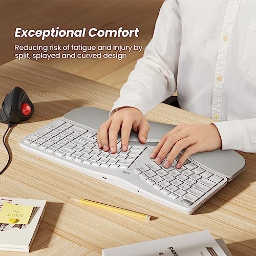 Nulea RT05 Wireless Ergonomic Keyboard, Split Keyboard with Wrist Rest, USB-C Charging, 7-Color Backlight, Natural Typing, Bluetooth and USB Connectivity, Compatible with Windows,Mac