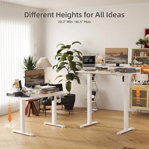 Claiks 48''*24'' Electric Standing Desk with Drawers, White