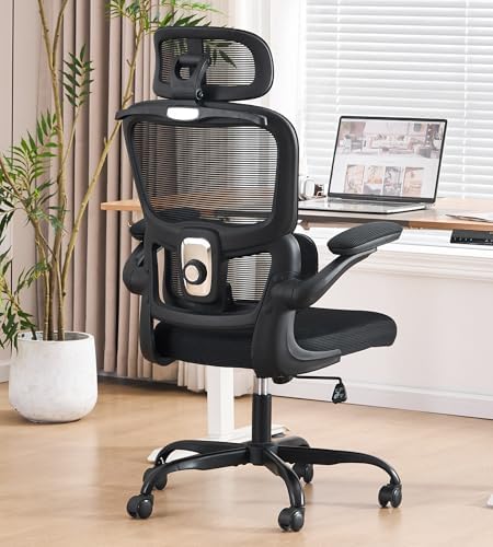 Ergonomic Office Chair, Executive Chairs with Adjustable Lumbar Support