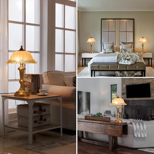 HDDFL Glass Shade Table Lamp Vintage Metal Desk Lamp 2 Lights Table Light with Plug Switch for Bedroom Living Room Home Office Brass and Brown