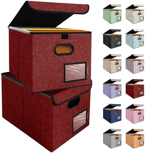 BALEINE File Organizer Box with Lid, Collapsible Hanging File Storage Box