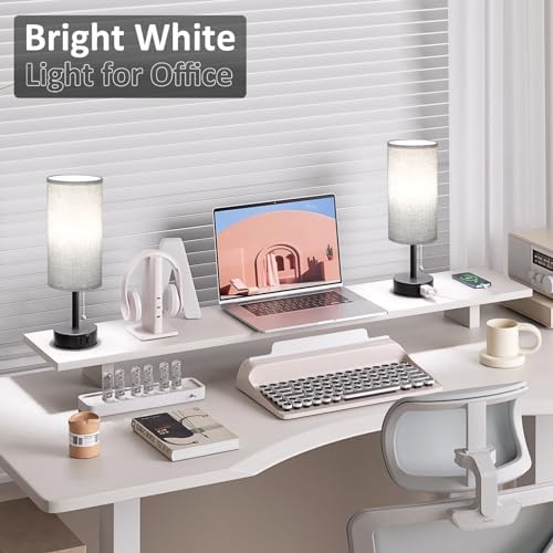 Grey Bedside Table Lamps Set of 2 - Bedroom Lamp for Desk, AC Outlet