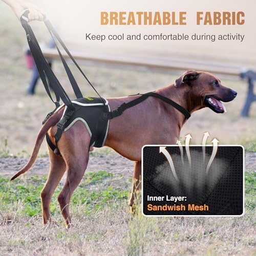 Dog Lift Harness for Large Senior Dogs, Back Leg Walking Aid