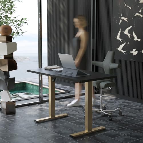 HUANUO 48x24 Inch Electric Standing Desk, Height Adjustable