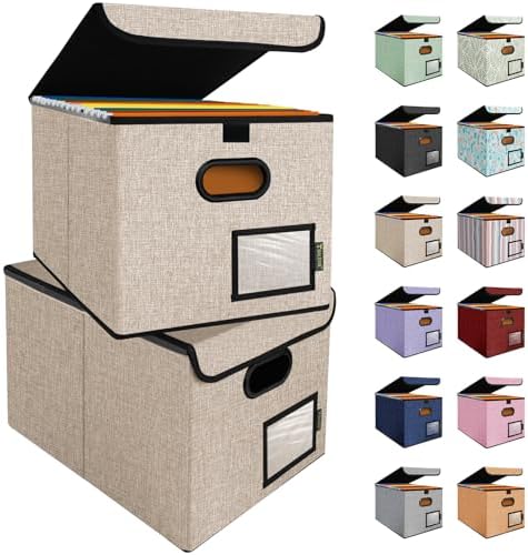 BALEINE File Organizer Box with Lid, Collapsible Hanging File Storage Box