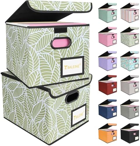 BALEINE File Organizer Box with Lid, Collapsible Hanging File Storage Box