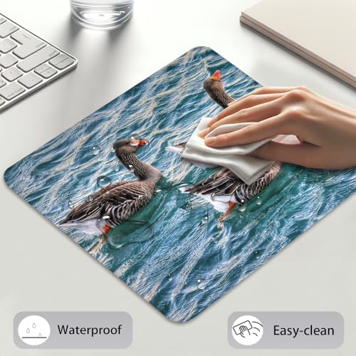 Greylag Geese Swimming on Teal Lake, Nature Wildlife Design Desk Mat