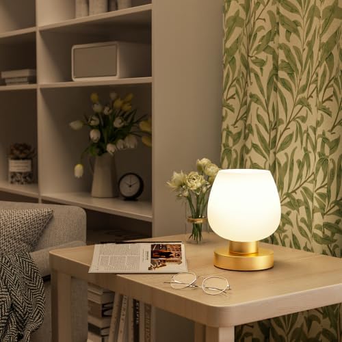 Seealle Small Touch Table Lamp for Nightstand, 3 Way Dimmable Bedside Lamp