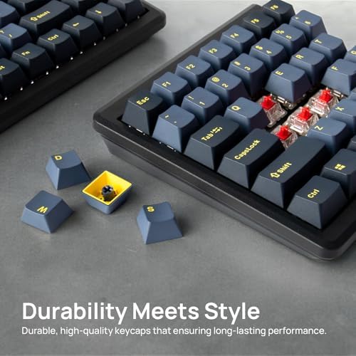 BAROCCOMiSTEL MD770 RGB BT5.0 Glaze Blue TKL Ergonomic Mechanical Keyboard, 75% Split Layout, Cherry MX, PBT DoubleShot Keycap, Mac/Windows OS Compatible (Cherry Red)