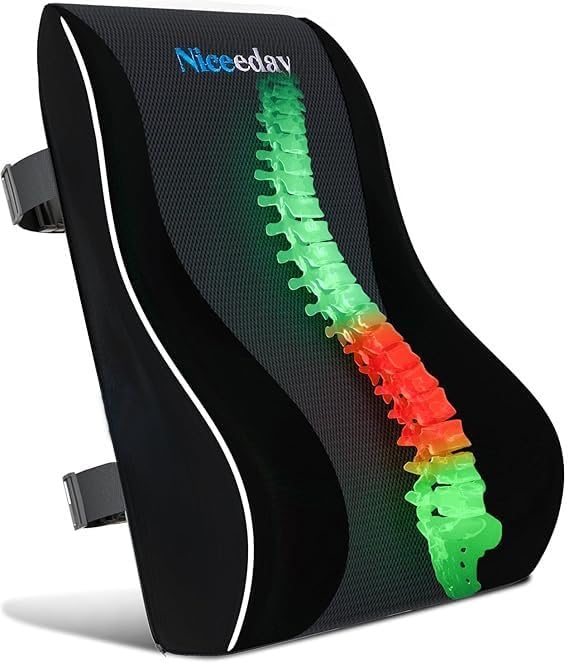 Niceeday Lumbar Support Pillow for Office Chair Car Lumbar Pillow Lower Back Pain Relief Memory Foam Back Cushion with 3D Mesh Cover, Back Pillow Ergonomic Orthopedic Back Rest