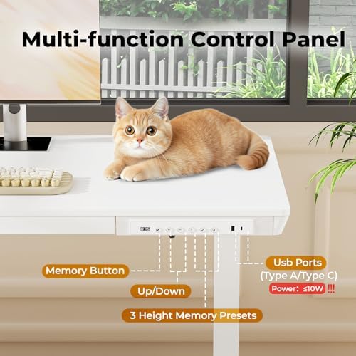 40" Electric Stand up Desk with Drawer, Height Adjustable