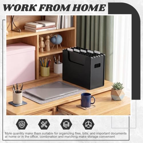 Qeeenar 2 Pcs Hanging File Box with 10 Pcs Black Hanging File Folders