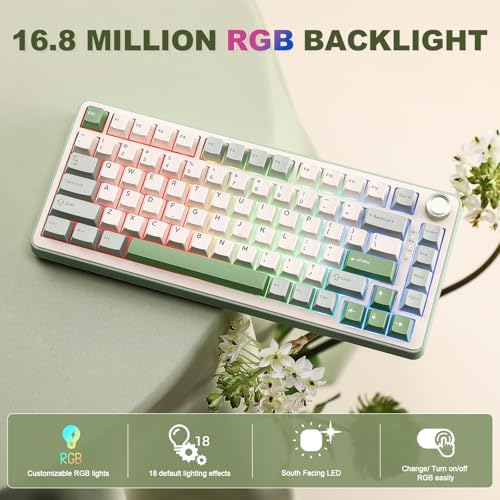 YUNZII B75 PRO 75% Wireless Mechanical Keyboard(Matcha Green,Cocoa V2)