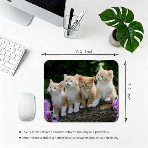 9.5x7.9 Inch Office/Gaming Mouse Pad, Adorable Norwegian Forest Kittens on a Rustic Log Lovely Cats Pets, Cute Anti-Slip Mat for Desk Decor