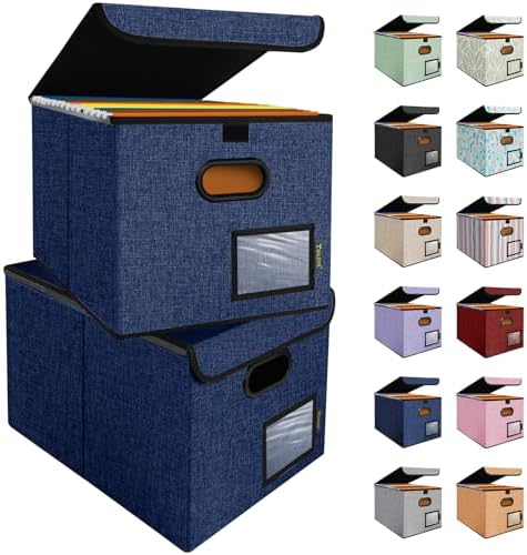 BALEINE File Organizer Box with Lid, Collapsible Hanging File Storage Box