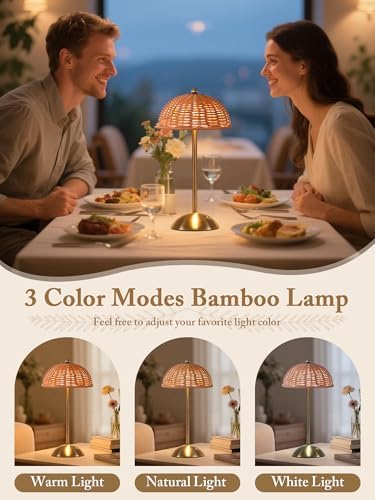 Cordless Table Lamp, Rattan Boho Desk Lamps, Small Wicker Night Light